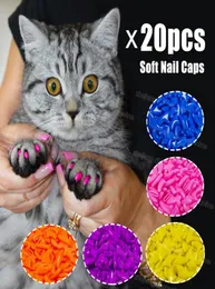 Capas de unhas de gato de silicone gato pata de gata Protector de unhas PET PET CAPA COMPORTA COM COLUE E APLICATIVO G11233293128