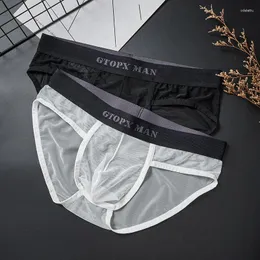 Underpants Männer konvex