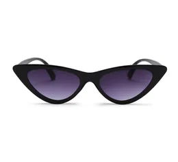 TR90 Polaryzowany mężczyzna SUNGLASSE Sports Driving Sun Salless Woman Surfing Sunfasses 5 kolorów Kobiety okulary przeciwsłoneczne projektant mody 5p3589278