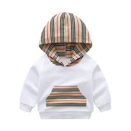 Hochwertige Kapuzen -Sweatshirts Frühling und Herbst neuer Stil Big Boy Kleidung Kinder Pullover 3 Stile