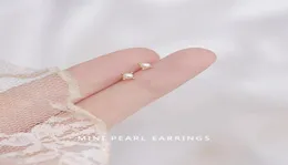 Stud Fashion Korean äkta S925 Sterling Silver Mini Baroque Pearl Earrings for Women Teen Girls Daily Life Jewelry GiftStud5962918