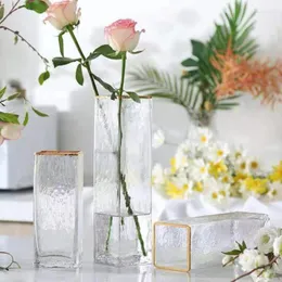 Vases European Gold Hammer Pattern Vase Glass Transparent Creative Decoration Hydroponic Modern Flower Pot Light Luxury Home Decor