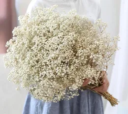 Fiori decorativi ghirlande naturale essiccata fresca secca Gypsophila paniculata baby39s bouquet di fiori respirali regalo per weddin8839325