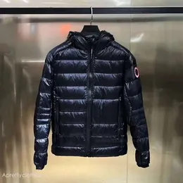 Canda Gosse Coat Luxury Mens Down Parkas Jackets Winter Designer Hoodie Outdoor Lekkie kurtki Black 798