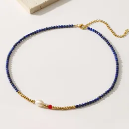 Цепи Blue Lapis Lazuli Пресноводное жемчужное ожерелье из нержавеющей стали сердца Чокер для женских праздничных украшений Оптовые