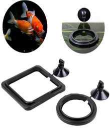 Matningsring Aquarium Fish Tank Station Floating Tary Feater SquareCircle Auto Feeders With Pet Feed1902391