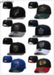 NEW Style Ice Hockey Snapback Caps Adjustable Caps Hot Christmas Sale HatsGreat Headwear Snapbacks Vintage Hoc H11-10.13