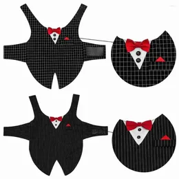 Abbigliamento per cani Pet maschio Cat Wedding Dress Boy Boy Smoking Suits Cuggine e Kitten vestiti in costume da festa per bassotto shih tzu