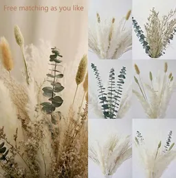 Pampas Grass Phragmites Reed Dried Natural Flowers Bouquet Arrangement Wedding Party Home Decor Christmas Decorations For Desk204y5963893