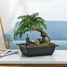 Piantatrici vasi di addestramento vasi di fiori imitazione piante succulente vasi di plastica bonsai vasi da giardino esterno paesaggio in vaso