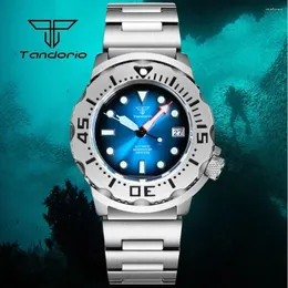 Armbandsur Tandorio 42mm NH35A Monster Case Sunburst Dial 20atm Dyk Mäns automatisk klocka Ar Sapphire Glass 3.8 Crown Date Gradient Color