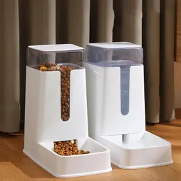 35L PET PET Automático Dispensador de água Drincedor de gatos alimentação e rega alimentos alimentos alimentar Bowl para acessórios para cães 240429