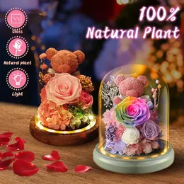 LED Light Preserved Rose Flower Bear Eternal Rose in Glass Home Wedding Decoration Anniversary Valentines Day Mothers Day Gift 240418