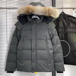 Erkekler aşağı ceket lüks wyndham kaz tüyü ceket tasarımcısı kurt kürk kanadalı rüzgar geçirmez ceket kış moda açık açık parka ceket