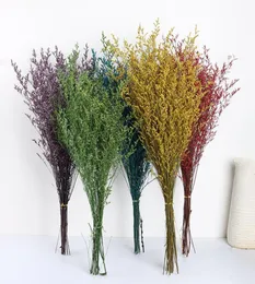 30G Lover Grass Natural Fresh Torked Bevarad Dancing Flowersreal Forever Flower Branch For Home Decor Bouquet Decorative Flowers7988623