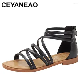 Casual Shoes Summer Flat Women's Sandals Fashionable Slim Band Combination Lightweight Versatile Back Zipper