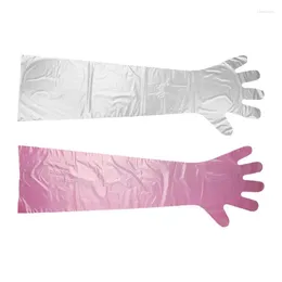 Disposable Gloves Animal Insemination 33.4inch 50PCS Veterinary Extra Long Sleeve Full Arm Livestock For