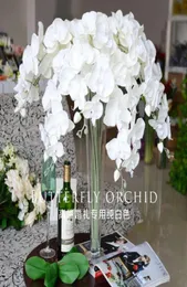 Fiori di orchidea finta 10 pcslot orchidee falaenopsis farfalla orchidee false falene per fiori decorativi artificiali decorativi del matrimonio 8212571