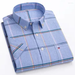 Camisas casuais masculinas de manga curta listradas para homens grandes verão algodão puro oxford cuidados de negócios de negócios roupas masculinas verificadas