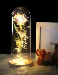 Beautiful and wild animal pink pot led pink flower black light glass bottom better mother039s Day gift valentine039s Day2948978