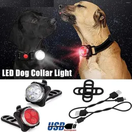 Colarinhos de cães LED de colarinho luminoso LEV