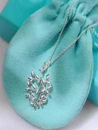 2022 brand original jewelry designer necklace olive leaf pendant women039s simple highend sweater chain242S4912651