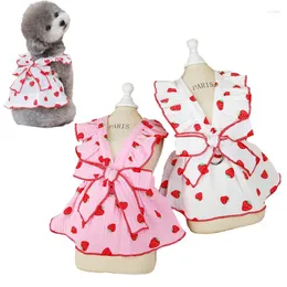 Abbigliamento per cani Sweet Cat Gat Summer Pet Princess Abito per chihuahua Maltese cucciolo gatticello vestiti per piccole ragazze vestiti per cani yotle Yorkies