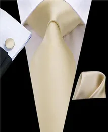 HiTie Men Tie Solid Champagne Silk Tie Party Wedding Ties for Men Silk Yellow Tie Set Cravat for Father C3266 Dropshiping9658626