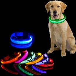 개 강아지 강아지를위한 Led Dog Collar Light antilost 밤 빛나는 용품 애완 동물 제품 액세서리 USB 충전 배터리 240428
