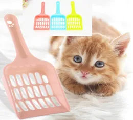 Billigaste plastkattkull Scoop Portable Cat Cleaning Shovel Dog Pet Poop Waste Scooper Lätt att rengöra 5 färger för att välja5557569