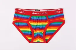 Maikun zupełnie nowy design Rainbow Striped Gay Pride Bottton Biełdak bokserki LGBT Biełdowe majtki dla Men2118809
