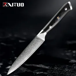 5 Inch Utility Knife Kitchen Petty Knife Japanese 67 Layer Damascus Steel Multi-purpose Knife Sharp Cutting Fruit Paring Knives