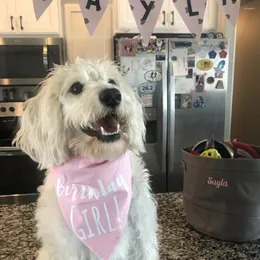 Dog Apparel Custom Bandana Birthday Girl é meu primeiro gato de estimação de um ano de filhote de 1º filhote de um ano