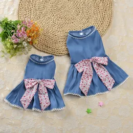 Denim Princess Skirt Comfortable Dog Dress Jeans Lace Pet Dresses for Summer Wear Elegant Bowknot Puppy Clothes Robe Pour Chien 240425