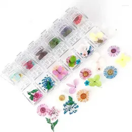 Decorative Flowers 1 Box Real Dried Daisy Flower Dry Plants For Epoxy Resin Pendant Necklace Jewelry Making Craft Mold Filling DIY Nail Art