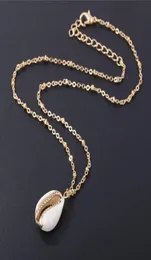 Fashion Natural Shellwrapped Gold Necklace For Women Natural Cowrie Shell Pendant With Double Bails Gold Trim Chain Necklace6309840