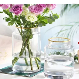 Vazolar Basit ve yaratıcı altın cam vazo hidroponik bitki çiçekler çiçek oturma odası yemek masası el sanatları dekorasyon aksesuarları