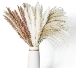 ديكور المجفف الزهور الطبيعية بامباس العشب فيوري secchi القصب phragmites النباتات باقة لحفل الزفاف Decoration27072980023