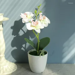 Dekoratif çiçekler yapay çiçek mini phalaenopsis küçük bonsai bitki iç dekorasyon sahte ev ofis yaratıcı dekor