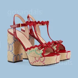 Luxus Sandalen Designer Kleiderschuhe Stickereien verzierter Knöchelgurtplattform Pumps Chunky High Heels Sandale 12 cm High Heeled Women Sandale