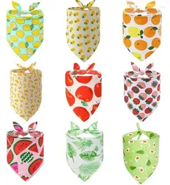 Hundkläder 60st/Lot Special Making Fruit Prints Pet Puppy Cat Cotton Bandanas Collar Scarf Tie Handkercheif Y121301 Custom Made Made