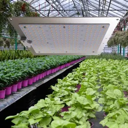 Grow Lights 12W Square Full Spectrum Plant Light Red Blue LED 169 Lamp For Indoor Gardening Vegetables Tent