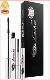 DIDI CAT 4D LASHES MASCARA EXTENISES مع الألياف DDK Mascara DIDI CAT 2 قطع مجموعة BE1293439901