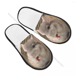 Slippers Plush Indoor Chinchilla Rodent Warm Soft Shoes Home Footwear Autumn Winter