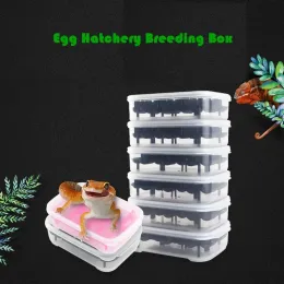 Terrari 2pcs Reptile Hatchery Incubator 14 Grids Snake Lizard Egg Rettile Baschetta per la tartaruga delle uova Terrario