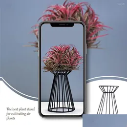 Vases Geometric Air Plant Rack Living Room Bedroom Desk Holder Holiday Stand Pot Bookcase Outdoor Art Craft Ornament Drop Delivery Dhiwc