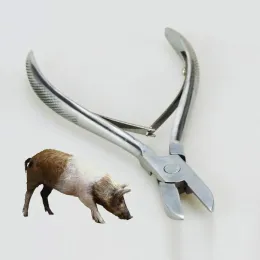 Accessori da 14 cm in acciaio inossidabile strumento da allevamento di maiale dente di maiale tagliente pinza senza colpa per impugnatura per pinza per maiale