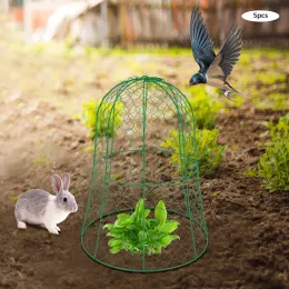 Supports Garden Chicken Wire Cloche, Plant Protector and Cover, Strong and Not Easy to Deform, 12.99 in Diameter x 15.75 in, 5 Packs