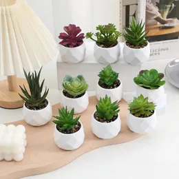 Fiori decorativi Simulazione di piante bonsai succulente artificiali Simulazione dei succulenti mini decorazioni falsi in plastica di cactus sempreverde