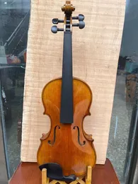 4/4 handgefertigte Geigenviolin fabelhafter Ton gealtertes Holz schöner Flammen Ahorn zurück mit Gehäuse